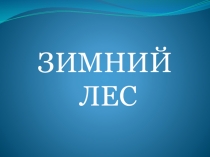 Презентация к занятию по внеурочной деятельности Зимний лес