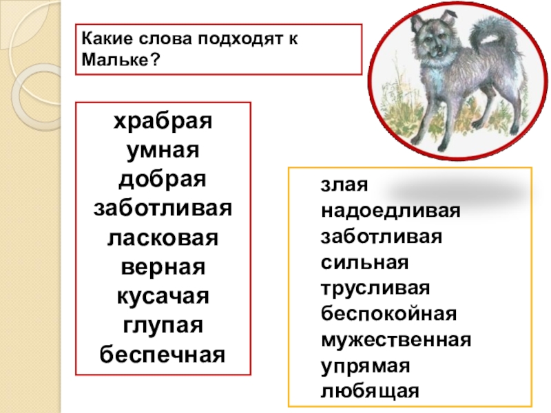 План рассказа малька провинилась