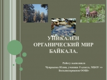 Презентация по географии Органический мир Байкала.