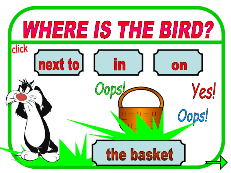 WHERE IS THE BIRD? in on next to the basket Oops! Yes! Oops! click