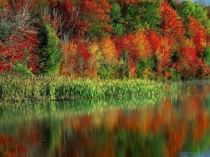 Презентация к уроку алгебры Преобразование графиков тригонометрических функций