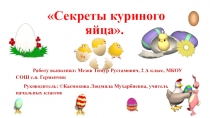 Презентация исследовательской работы  Секреты куриного яйца 2класс