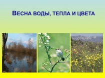 Презентация по окружающему миру 3 класс Весна воды, тепла и света