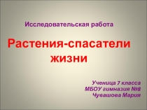 Исследовательская работа Растения- спасатели жизни