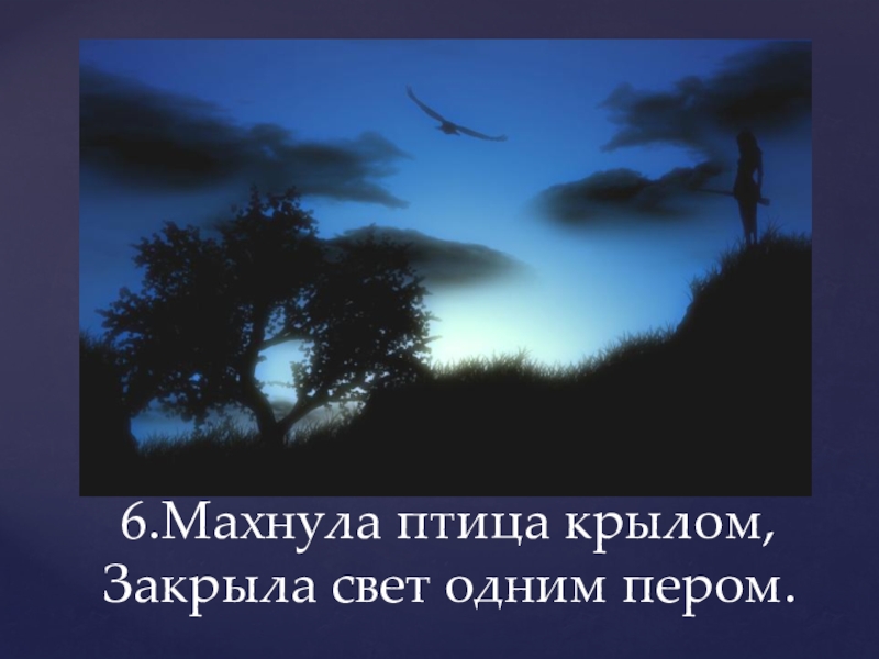 Составьте схему предложения махнула птица крылом и закрыла весь свет