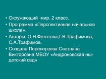 Презентация к уроку Корень, стебель и лист