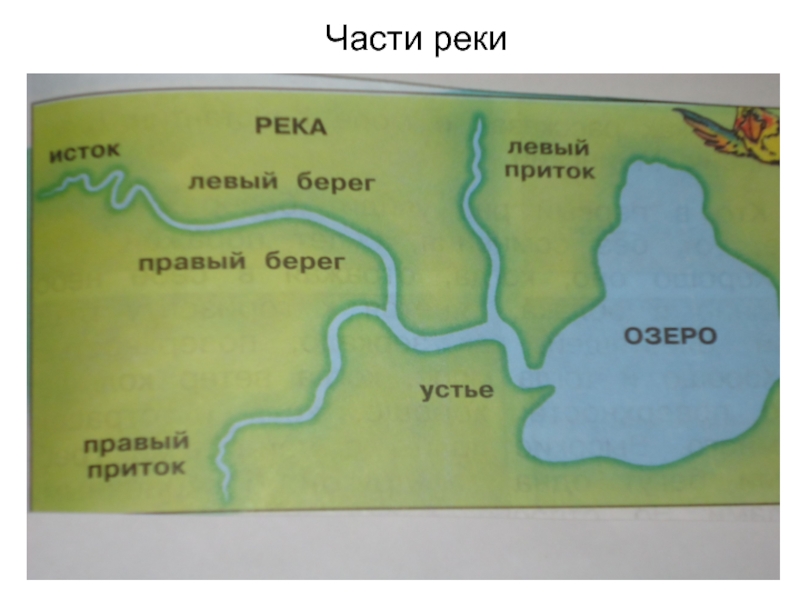 Части реки окружающий мир 4. Составные части реки схема. Строение реки схема 4 класс. Название частей реки. Как называются части реки.