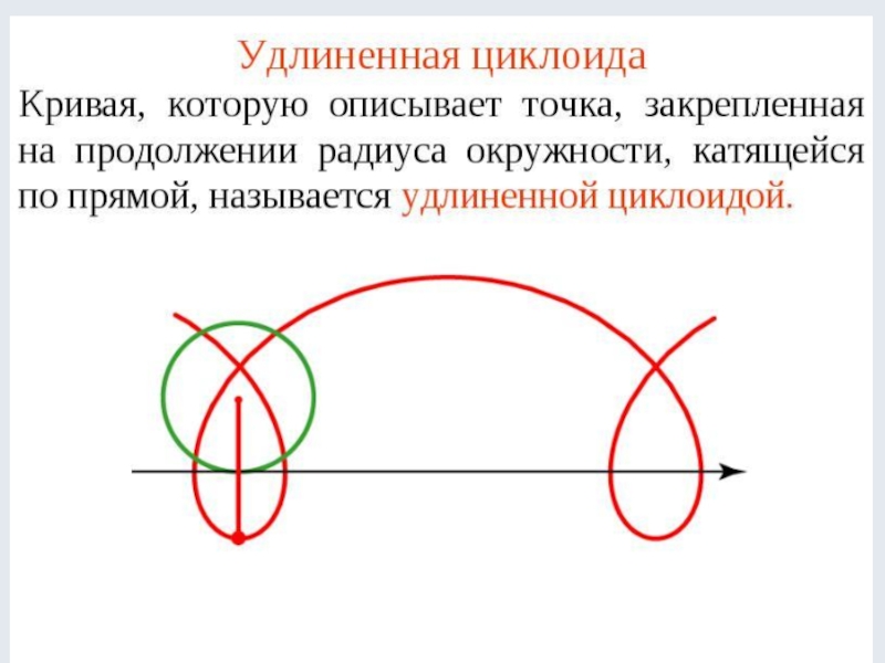 Циклоида проект по математике