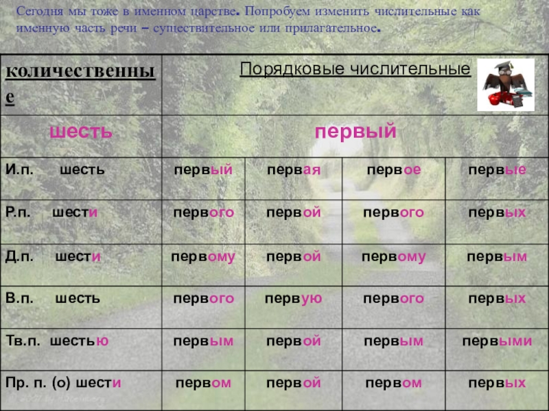 Существительные прилагательные числительные. Первая прилагательное или числитель. Первый числительное. Первый имя числительное или прилагательное. Первом числительное или прилаг.