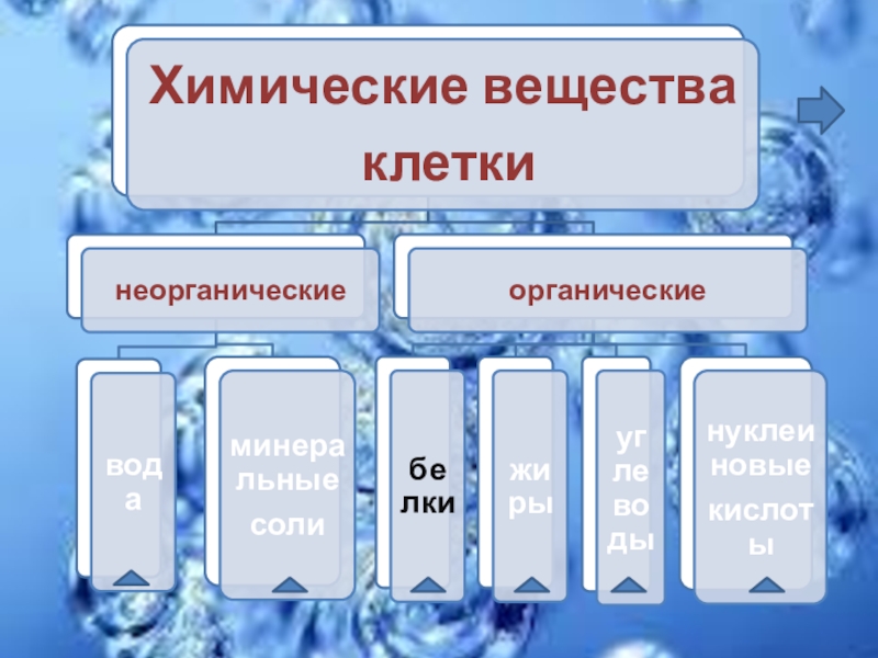 Презентация по биологии химический состав клетки