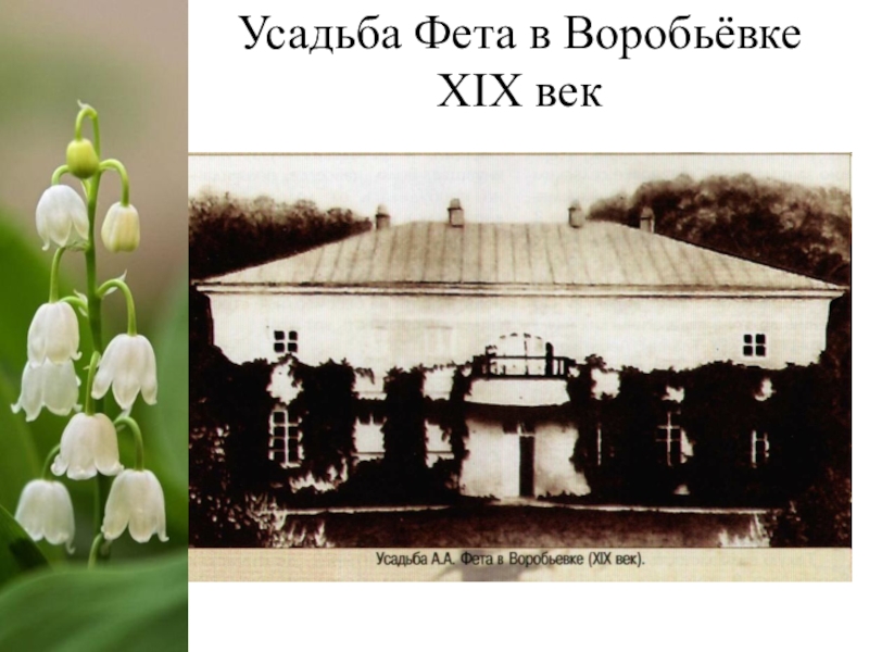 Веки фета. Имение Фета Степановка. Дом Фета в Степановке. Фет: усадьба Фета в Степановке. Афанасий Афанасьевич Фет усадьба Новоселки.