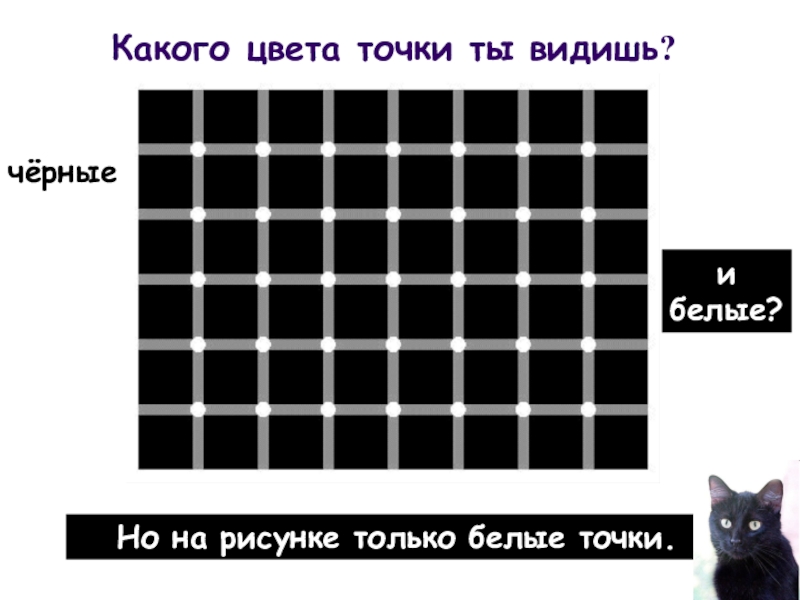 Какой цвет видишь на картинке тест