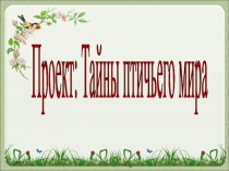 Презентация по логопедии на тему Тайны птичьего мира.