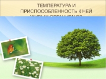Температура и приспособленность к ней живых организмов