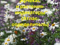 Презентация по биологии на тему Растения-индикаторы Арчекасского кряжа