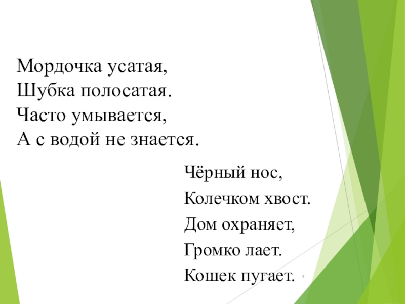 Чёрный нос,Колечком хвост.Дом охраняет,Громко лает.Кошек пугает.*Мордочка усатая,Шубка полосатая.Часто умывается,А с водой не знается.