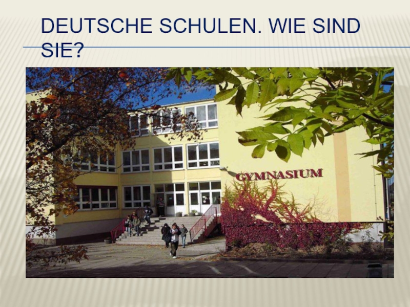 Презентация Презентация к уроку немецкого языка в 6 классе на тему Немецкие школы.Какие они?