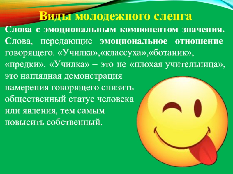 Эмоциональная лексика. Виды молодежного сленга. Виды молодежного жаргона. Слова молодёжного сленга со значением. Слова с эмоциональным компонентом значения сленг.