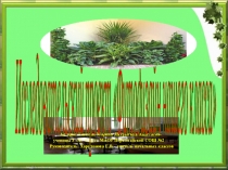 Исследовательский проект Фитодизайн нашего класса