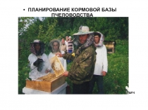 Презентация по пчеловодству на тему: Планирование кормовой базы пасеки