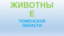 Презентация по окружающему миру на тему : Животные Тюменской области.