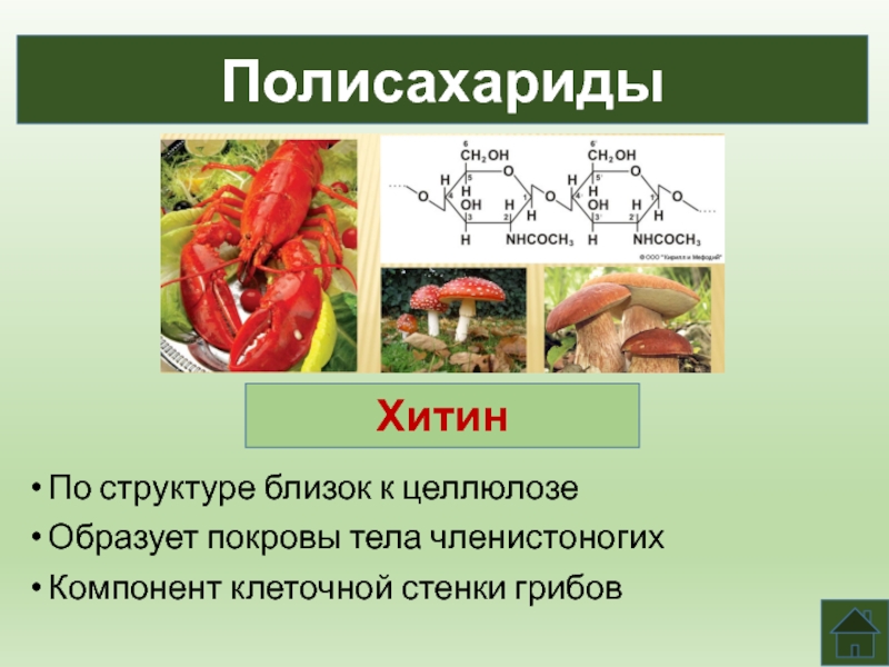 Углеводы презентация 10 класс химия