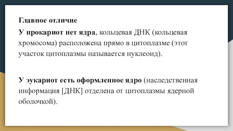 Главное отличиеУ прокариот нет ядра, кольцевая ДНК (кольцевая хромосома) расположена прямо в цитоплазме (этот участок цитоплазмы называется