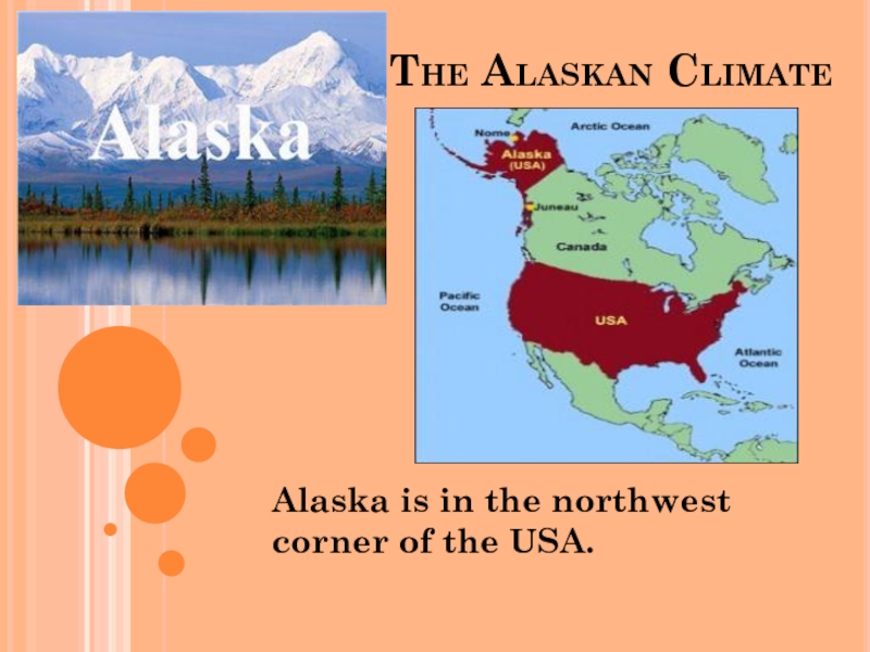 Презентация Презентация по английскому языку на тему Аляска