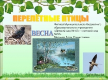 Презентация: Весна перелётные птицы