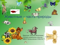 Презентация по окружающему миру