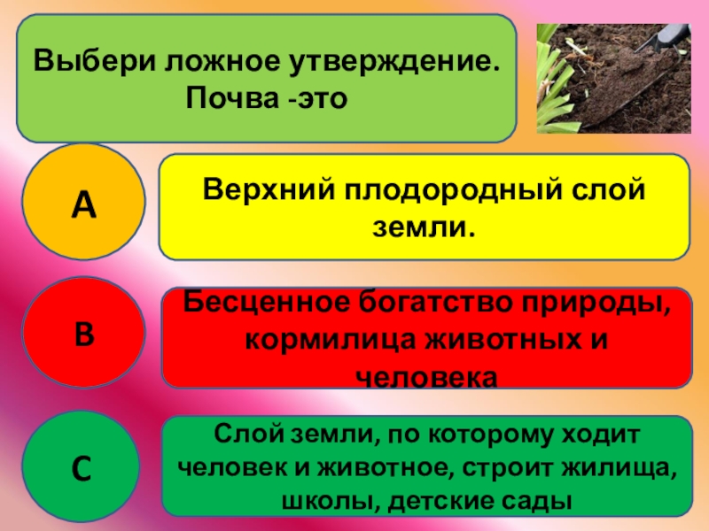 Обладать утверждение. Выберите ложное утверждение. Выбери ложные утверждения. Утверждение. Это утверждение ложно.