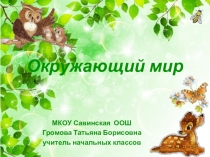 Презентация по окружающему миру по теме Кто такие животные (1 класс)