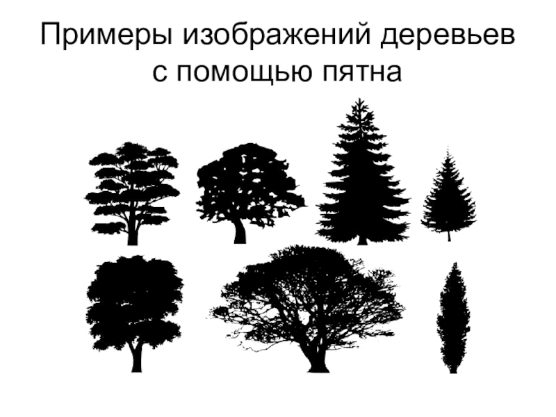 Выразительные средства черно белой фотографии