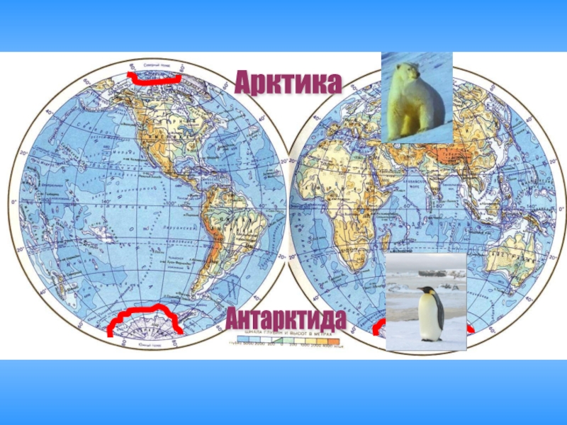 Антарктида и арктика карта