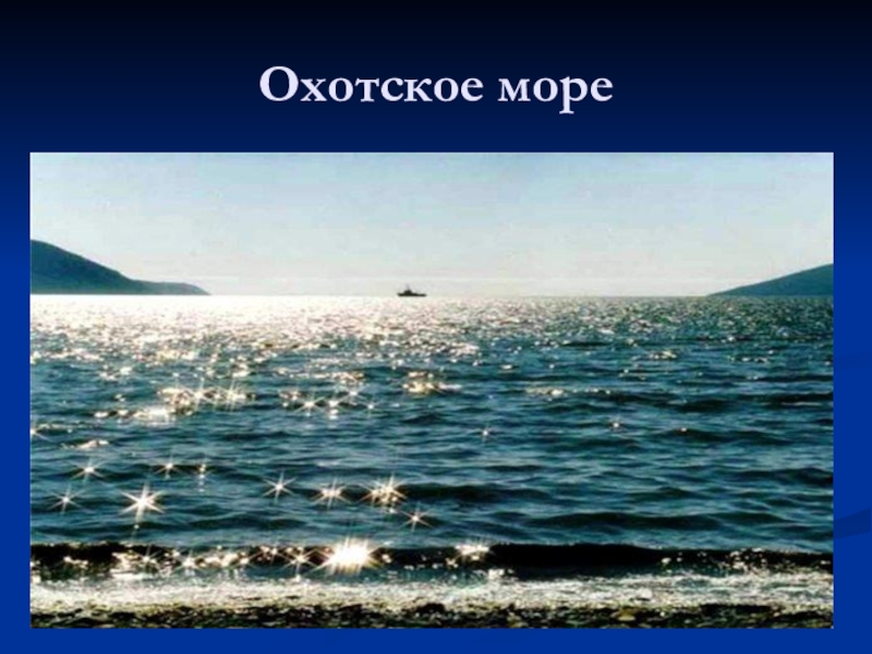 Охотское море презентация