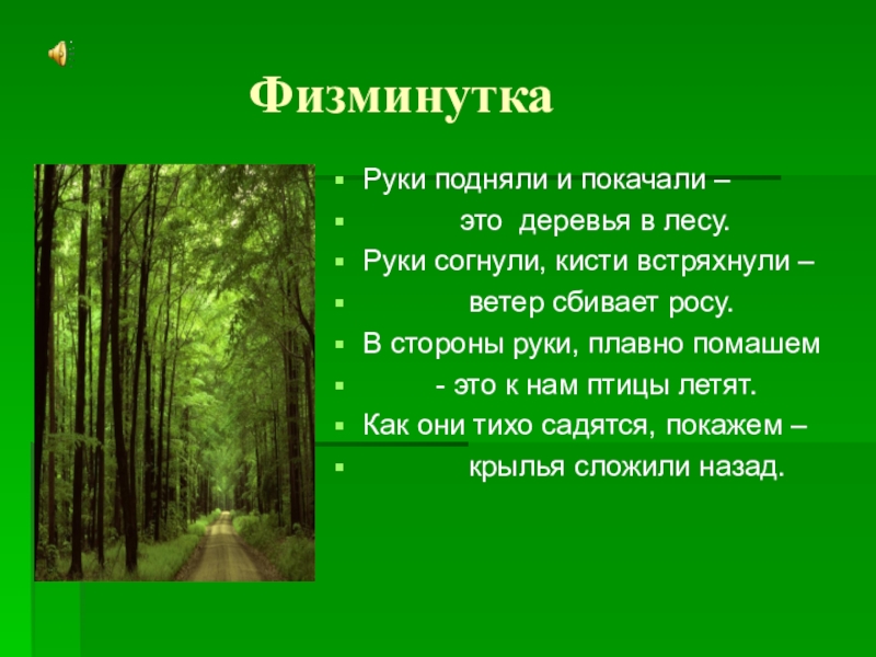 Физминутка деревце. Физминутка деревья. Физкультминутка деревья в лесу. Физминутки про деревья. Физкультминутка по теме деревья.