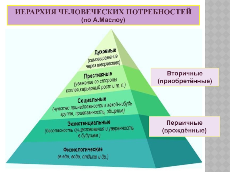 Иерархия деятельности. Иерархия деятельности школы. Пирамида Маслоу Мем.