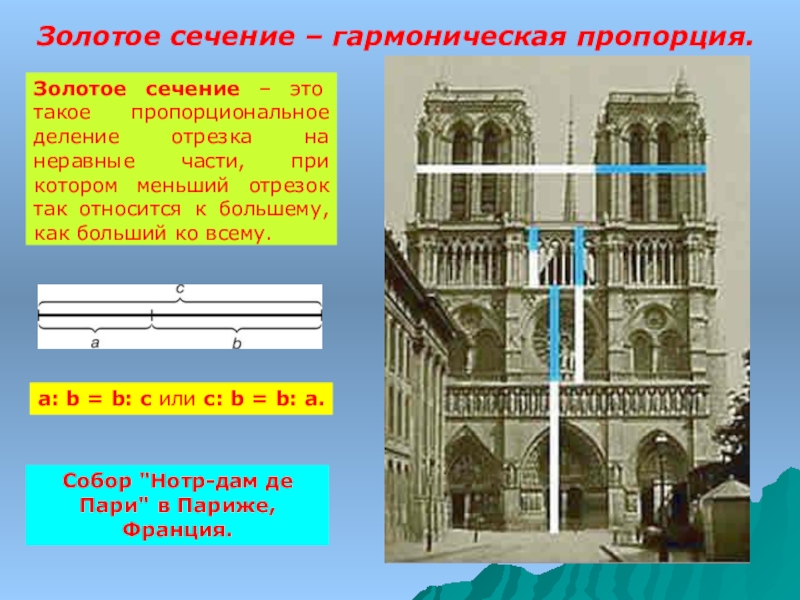 Пропорция и золотое сечение проект 6 класс