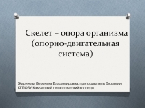 Презентация по биологии на тему Скелет - опора организма
