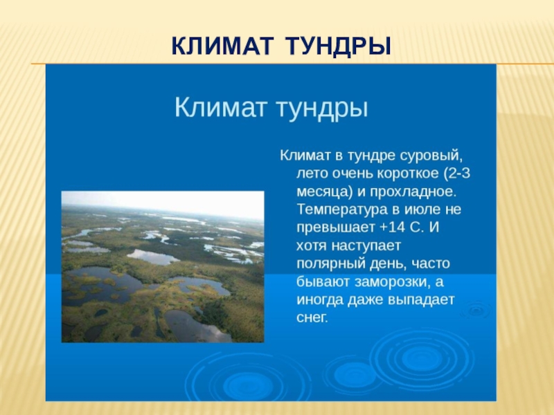 Презентация на тему зона тундры 4 класс окружающий мир