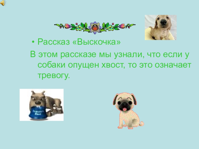 На что рассчитывала выскочка приближаясь к собаке. Выскочка рассказ. О чем рассказ выскочка. Рассказ о выскочке 3 класс. Выскочка собака.