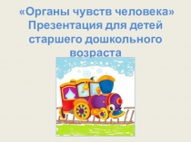 органы чувств человека старшая группа