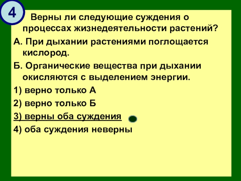 Верны ли следующие суждения о процессах. Верны ли следующие суждения о процессах жизнедеятельности растений. Верны ли следующие суждения о растениях. Верны ли следующие суждения о жизнедеятельности растений. Верны ли суждения о процессах жизнедеятельности растений.