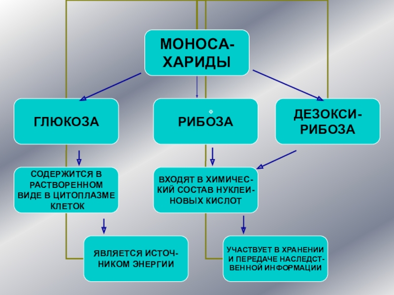 Презентация на тему углеводы по химии 9 класс