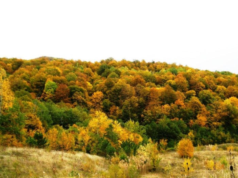 Осень в горах Краснодарского края