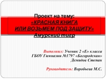 Презентация проекта по окружающему миру на тему: Красная книга или Возьмём под защиту. Амурский тигр  (2 класс) УМК Школа России.