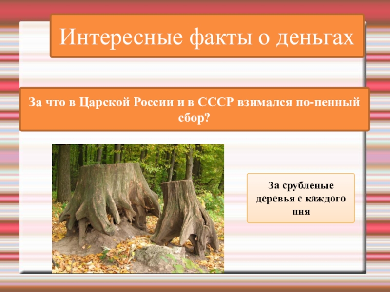 Интересные факты о деньгахЗа что в Царской России и в СССР взимался по-пенный сбор? За срубленые деревья