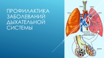 Презентация по биологии на тему Профилактика заболеваний дыхательной системы
