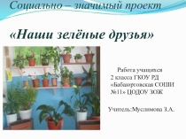 Презентация проекта Наши зелёные друзья