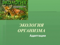 Экология организма. Адаптации